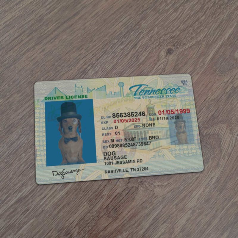 Advantages of Using Fake ID Templates